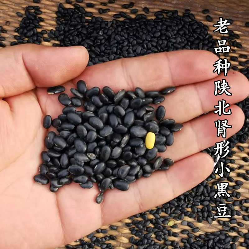 陕北农家自种古老肾形3斤小黑豆