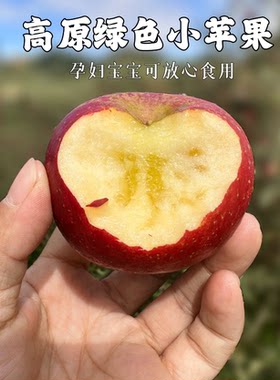 云南西北勒丑苹果蒙自高原野生冰糖心小苹果孕妇宝宝应季新鲜水果