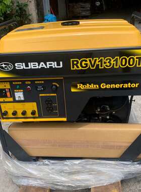 可维修-原装进口罗宾汽油双缸RGV13100T发-议价