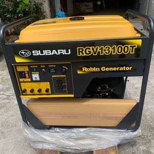 可维修-原装进口罗宾汽油双缸RGV13100T发-议价