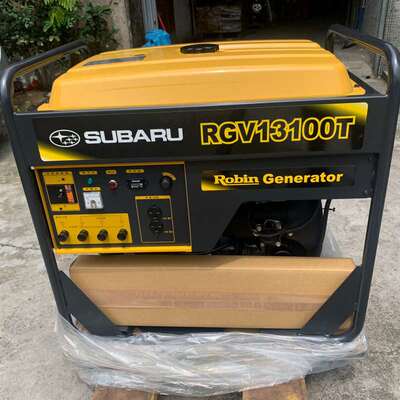 可维修-原装进口罗宾汽油双缸RGV13100T发-议价