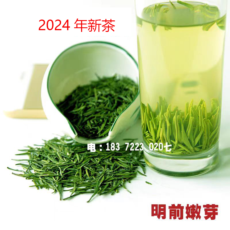 随州芽茶明前绿茶新茶雀舌