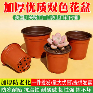 双色盆加厚营养钵育苗杯草莓简易花盆外红内黑育苗盆塑料厂家直销