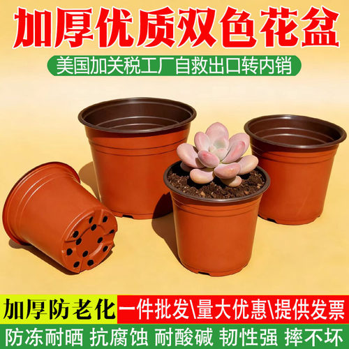 双色盆加厚育苗杯大口径塑料花盆