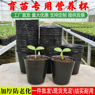 营养钵树苗种植营养袋育苗钵营养杯一次性黑色塑料软花盆简易加厚