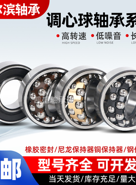 哈尔滨调心球轴承1200 1201 1202 1203 1204 1205 1206 1207 K