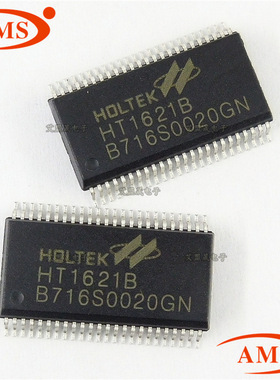 HT1621B HT1621 SSOP48 HOLTEK/合泰 LCD动态液晶屏驱动器芯片