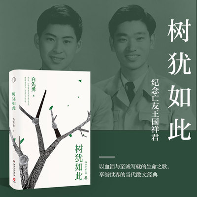 正版 树犹如此 2022新版白先勇先生亲自审定的散文选集以血泪与至诚写就的生命之歌享誉世界的当代散文经典