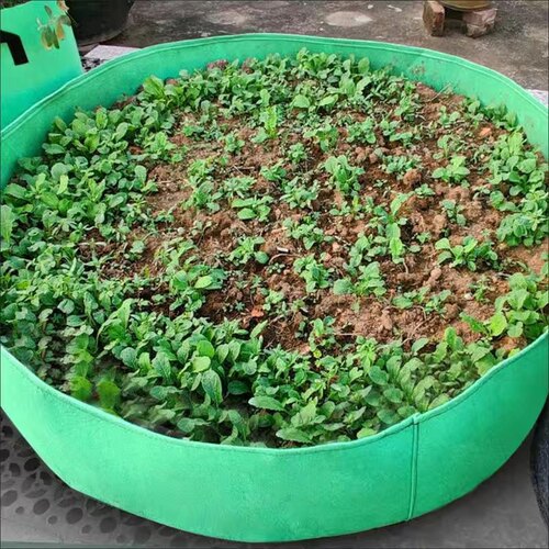 特大阳台蔬菜种植箱花盆种菜神器