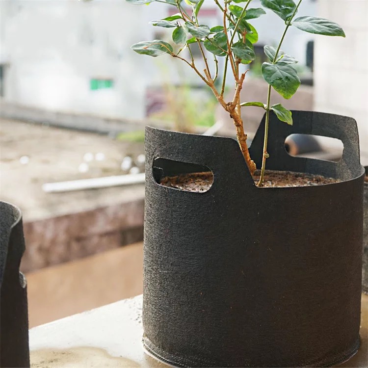 营养钵植树袋绿森加厚种植袋盆栽