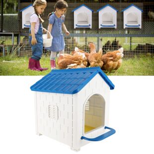 Chicken Nesting Box Single Compartment Chicken Laying Boxes