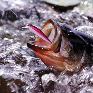 5pcs 9cm 10g Fishing Lures Artificial Hard Bait Sinking