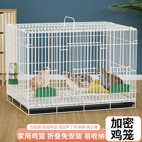 鸡笼加密防逃防钻养殖折叠免安装