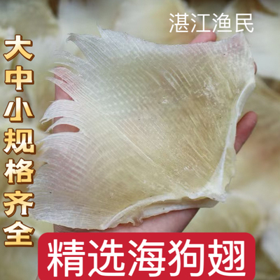 特色浦鱼翅鱼翅天星翅海狗翅海鲜干货特产送礼煲汤食材500g