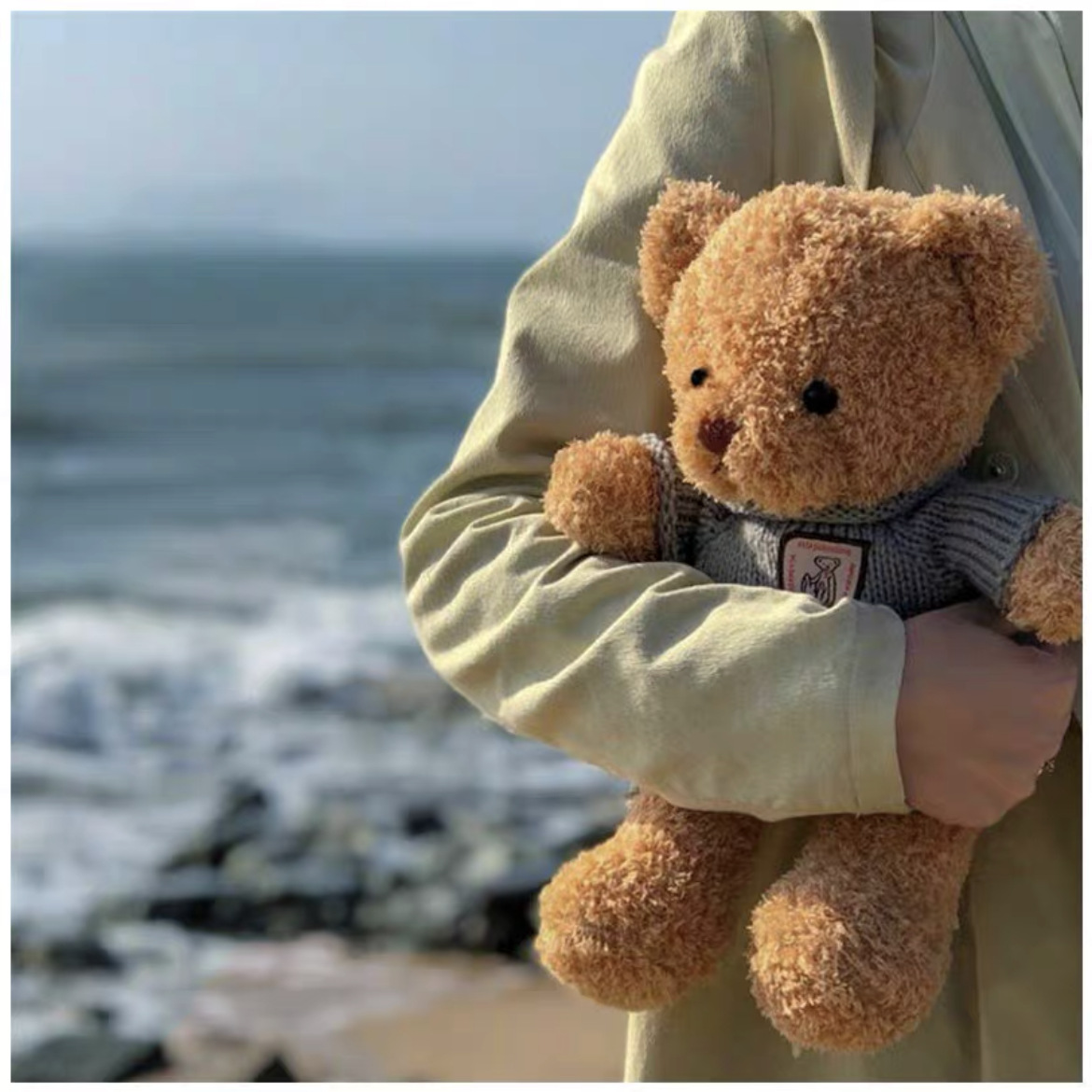 可爱抱抱熊女生生日礼物