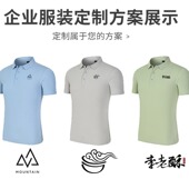 纯棉透气团体团建T恤工服男 广告衫 印logo Polo企业文化衫 定制夏季