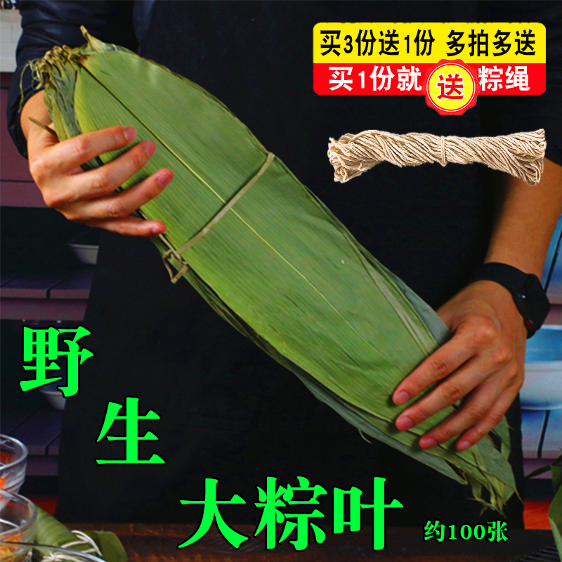 粽叶粽子叶柊叶棕叶天然干粽叶新鲜纯芦苇叶大号竹叶包粽子的免邮_虎窝淘
