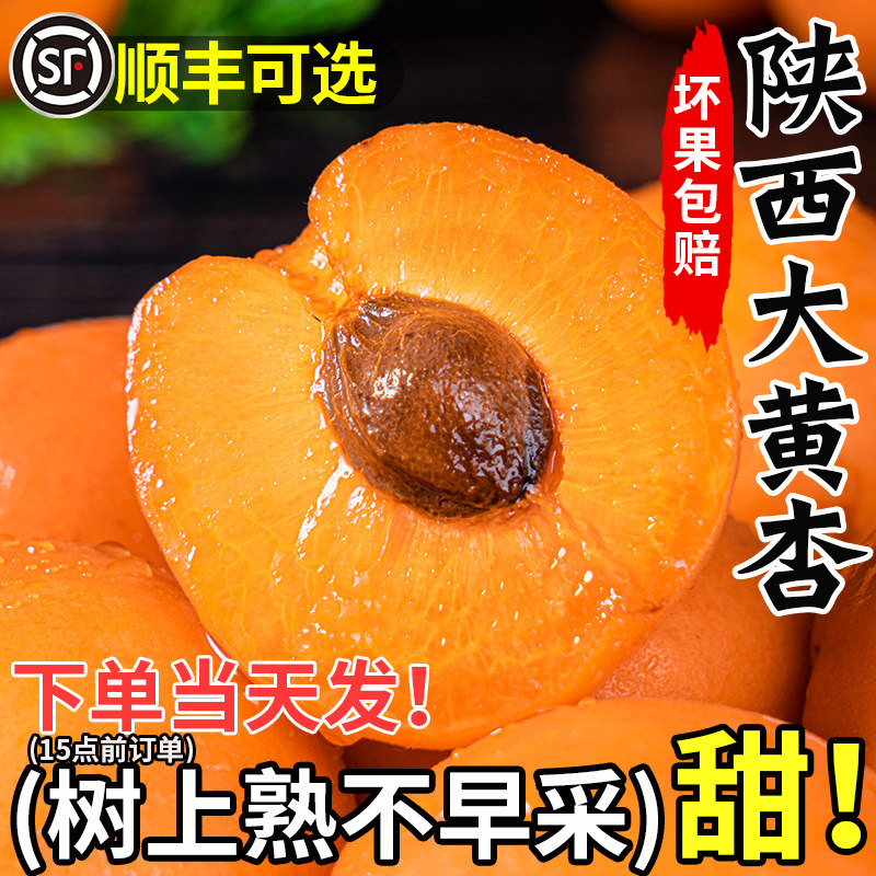 杏子现摘陕西大黄杏现货水果新鲜整箱时令酸甜杏斤凯特孕妇10