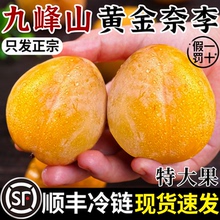 顺丰正宗九峰山黄金奈李新鲜水果孕妇冰糖蜂蜜脆甜大李子9斤整箱
