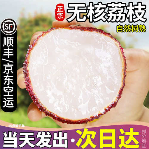 顺丰次日达正宗无核荔枝
