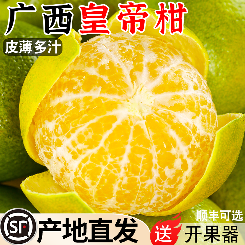 正宗广西皇帝柑新鲜橘子水果当季现摘沃蜜桔子贡柑甜橘老树大果10