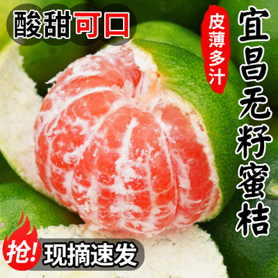 【热卖推荐】新鲜宜昌无籽蜜桔！
