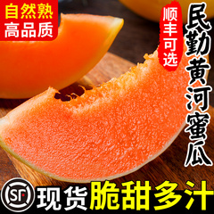 甘肃民勤黄河蜜瓜甜瓜水果新鲜当季整箱沙漠黄金哈密瓜脆官方旗舰