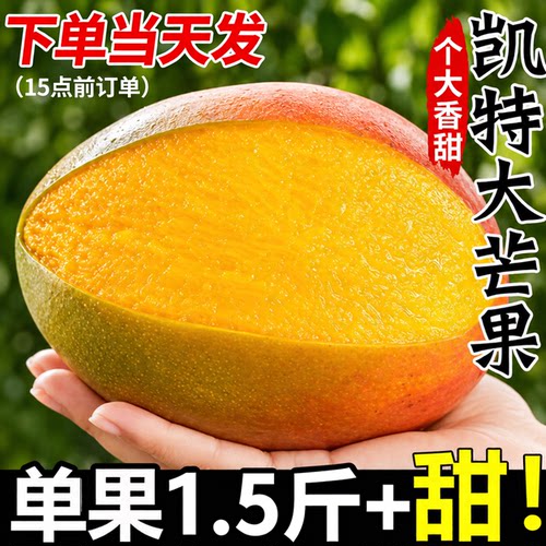 【热卖推荐】凯特芒香甜多汁