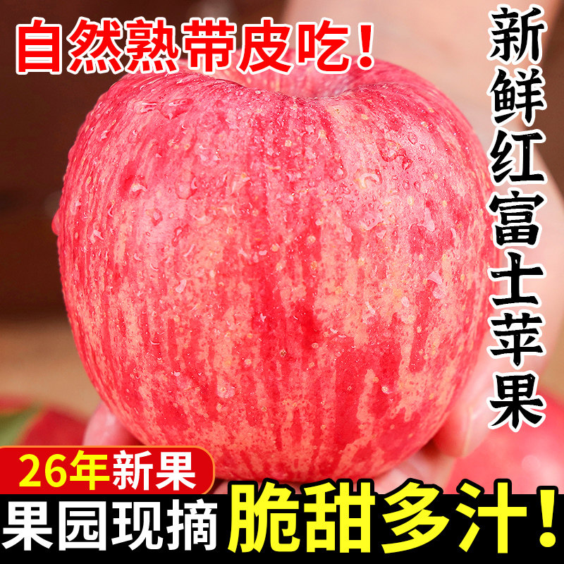 现摘高原红富士苹果脆甜多汁