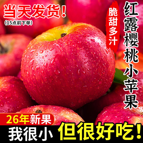 【26年新果】红露樱桃小苹果