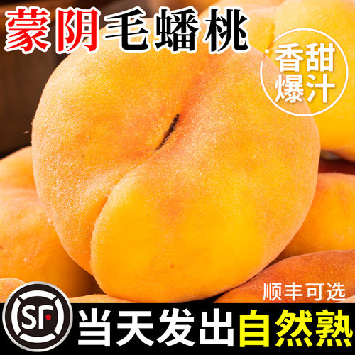 【热卖推荐】蒙阴黄金毛蟠桃