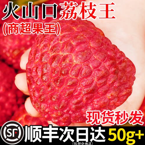 【顺丰送上门】荔枝王超大荔枝