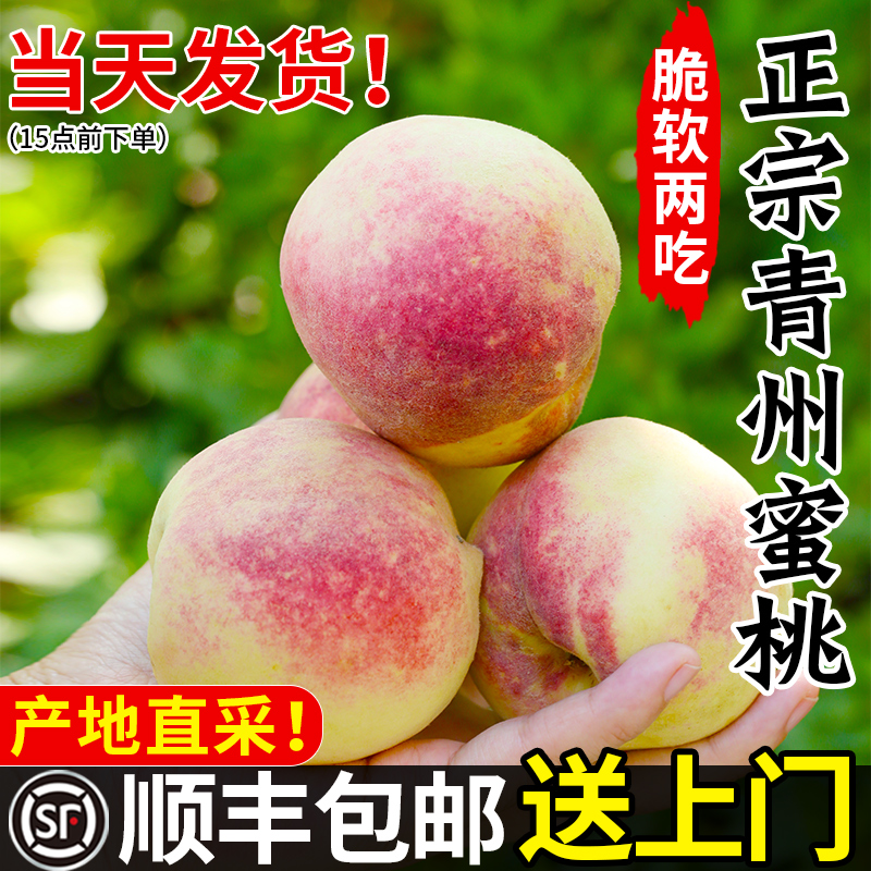 【顺丰包邮】正宗青州蜜桃