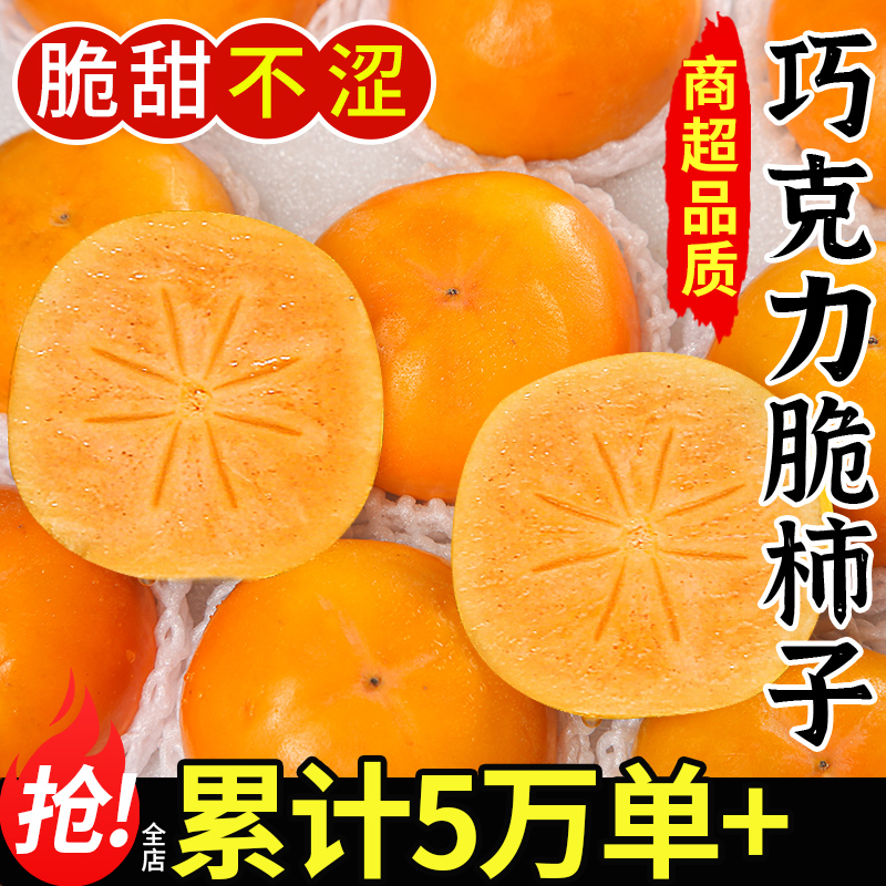 当天发出丨巧克力脆柿丨好吃不涩