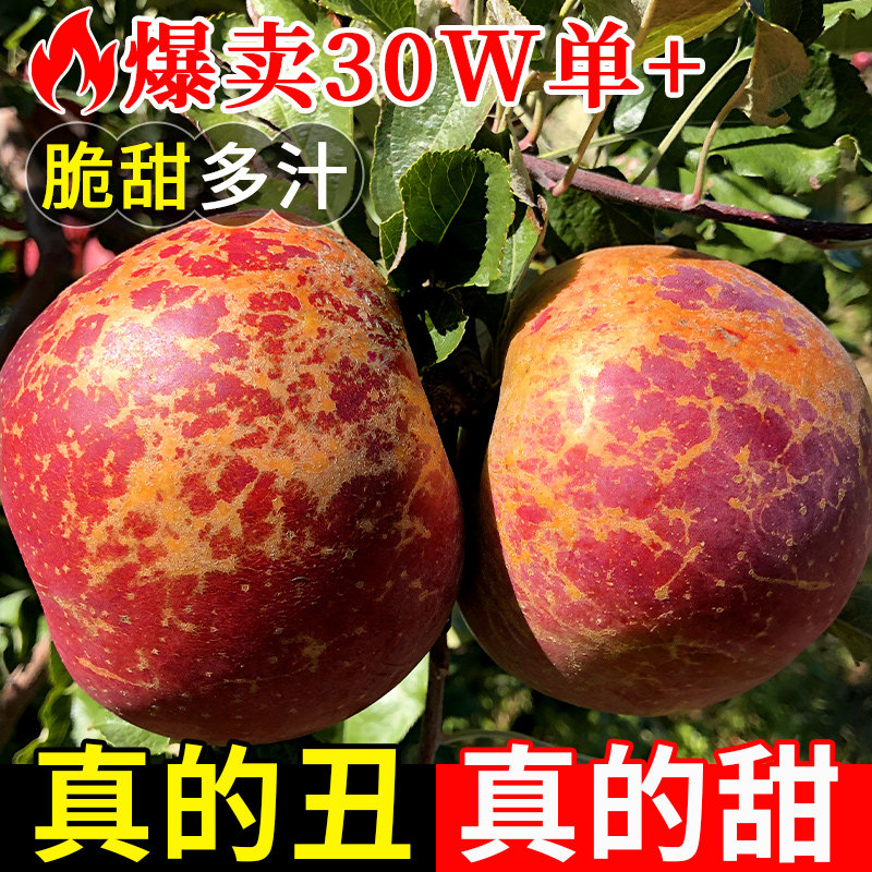 云南昭通市丑苹果正宗冰糖心苹果新鲜水果当季整箱年货红富士萍果