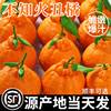 正宗四川不知火丑橘新鲜水果9斤耙耙粑粑丑八怪柑桔橘子整箱包邮