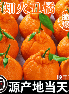 正宗四川不知火丑橘新鲜水果9斤耙耙粑粑丑八怪柑桔橘子整箱包邮
