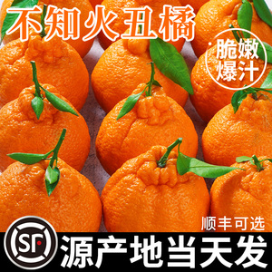 正宗四川不知火丑橘新鲜水果9斤耙耙粑粑丑八怪柑桔橘子整箱包邮