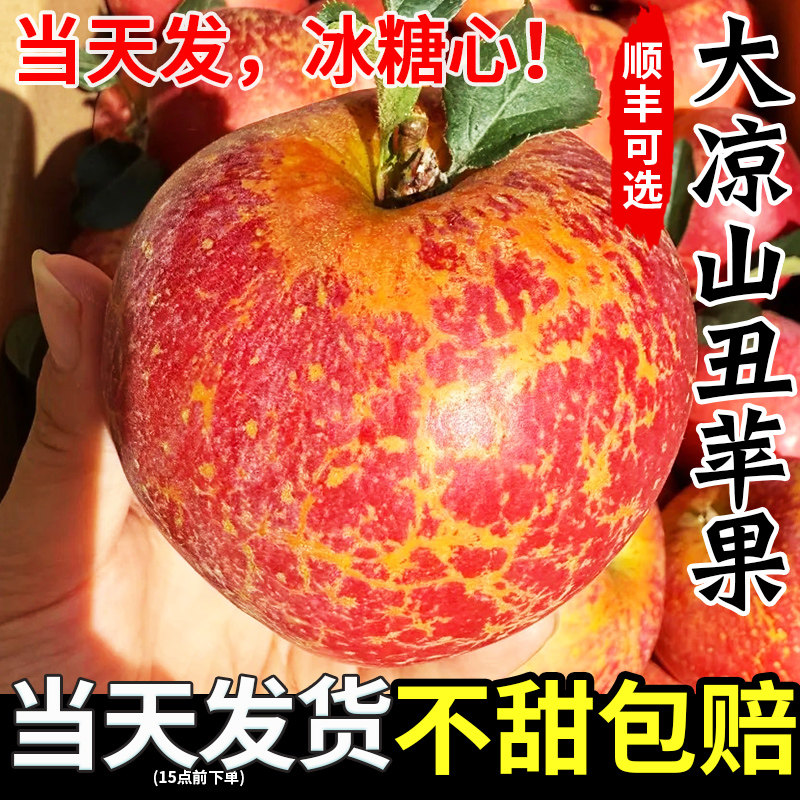 丑苹果冰糖心大凉山苹果糖心丑苹果水果当季整箱脆甜盐源四川红富
