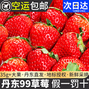 正宗丹东草莓99新鲜红颜东港牛奶奶油当季 九九大草莓果酱水果礼盒