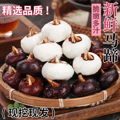 广西新鲜马蹄荸荠5斤水果蔬菜脆甜大果带泥现挖地梨地栗整箱包邮