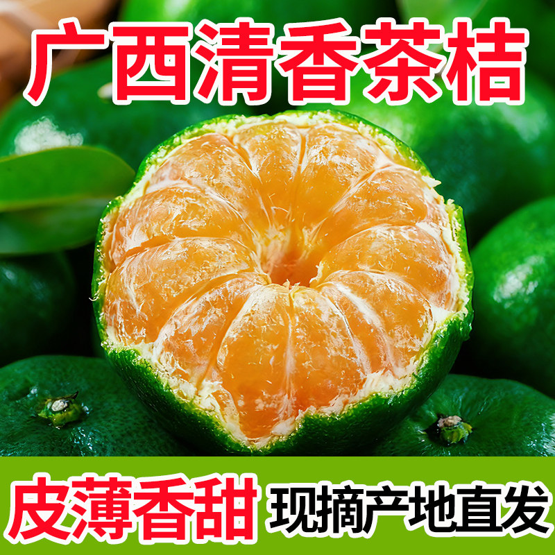 广西清香蜜桔茶橘纯甜新鲜现摘大水果巴西青皮香砂糖柑橘子整箱