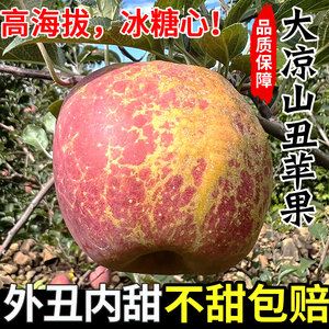 2026大凉山丑苹果冰糖心苹果新鲜水果圣诞平安果四川红富士萍果