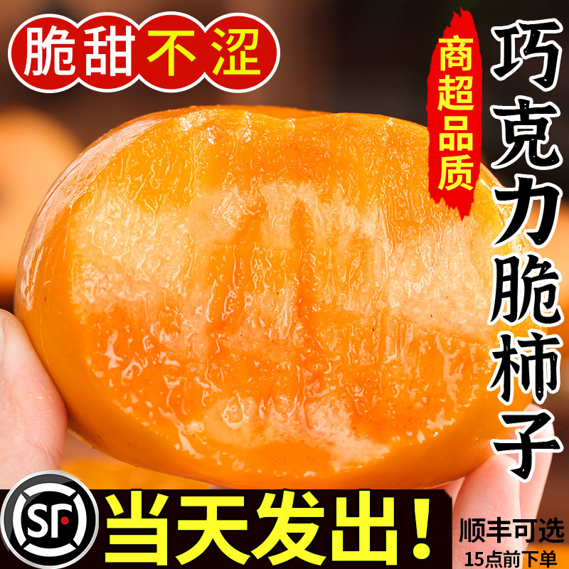 现货速发丨巧克力脆柿丨好吃不涩