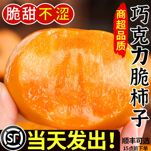 现货速发丨巧克力脆柿丨好吃不涩