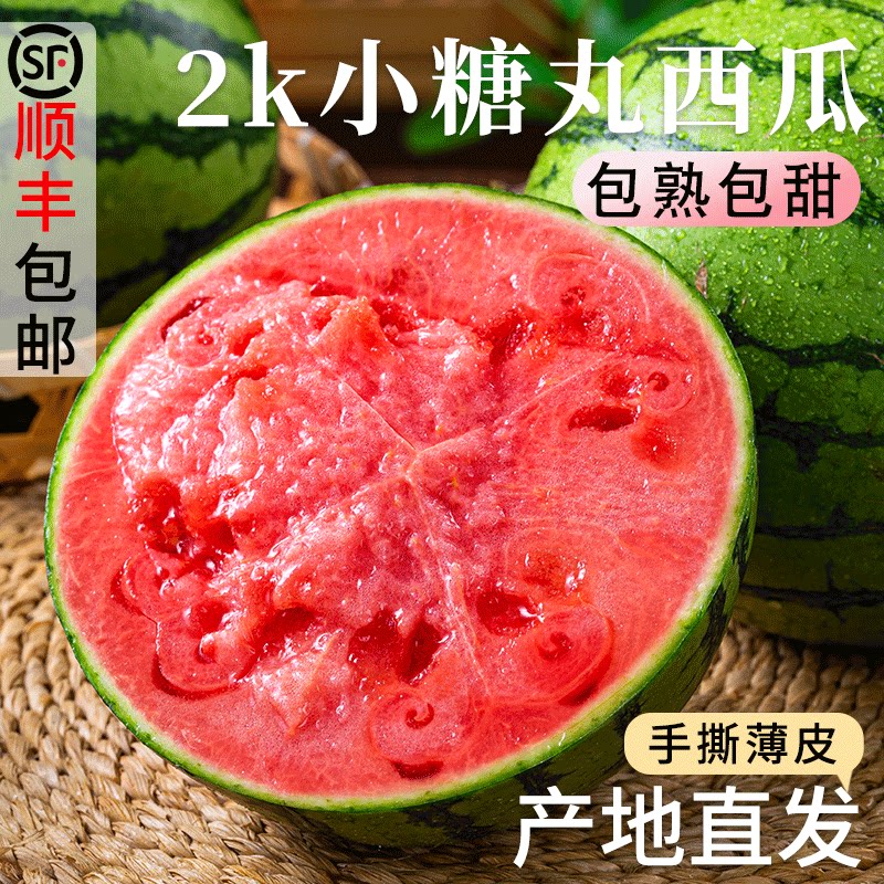 正宗脆甜2k小糖丸西瓜水果新鲜现摘应当季甘美麒麟小籽手撕薄皮瓜
