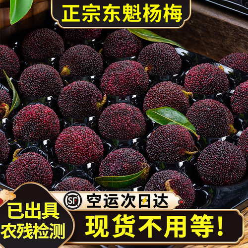 【现货速发】东魁杨梅顺丰空运