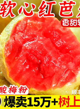 广西红心芭乐番石榴水果新鲜5斤软糯甜胭脂红巴当季整箱鸡屎果