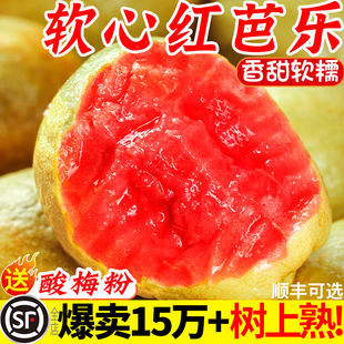 广西红心芭乐番石榴水果新鲜5斤软糯甜胭脂红巴当季 整箱鸡屎果