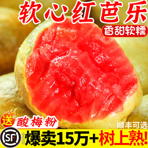 【软糯香甜】树上熟红芭乐